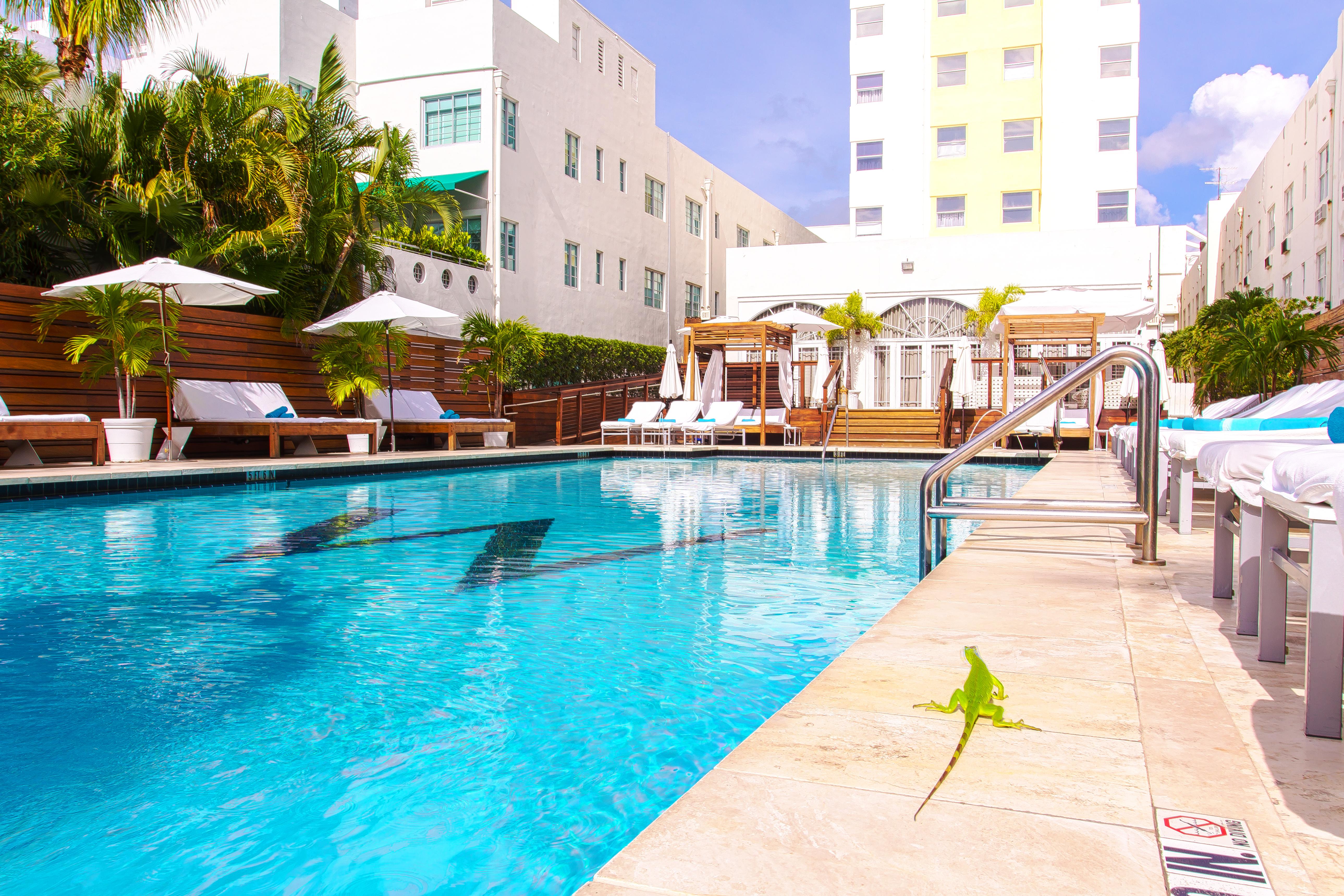 Marseilles Beachfront Hotel Маямі-Біч Екстер'єр фото